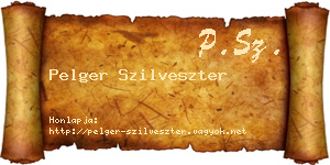 Pelger Szilveszter névjegykártya